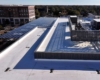 Arbor Landing Metal Roof 3